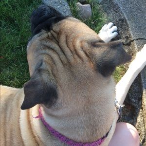 Meet your Posher, Andrea